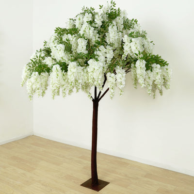 White Silk Wisteria Tree