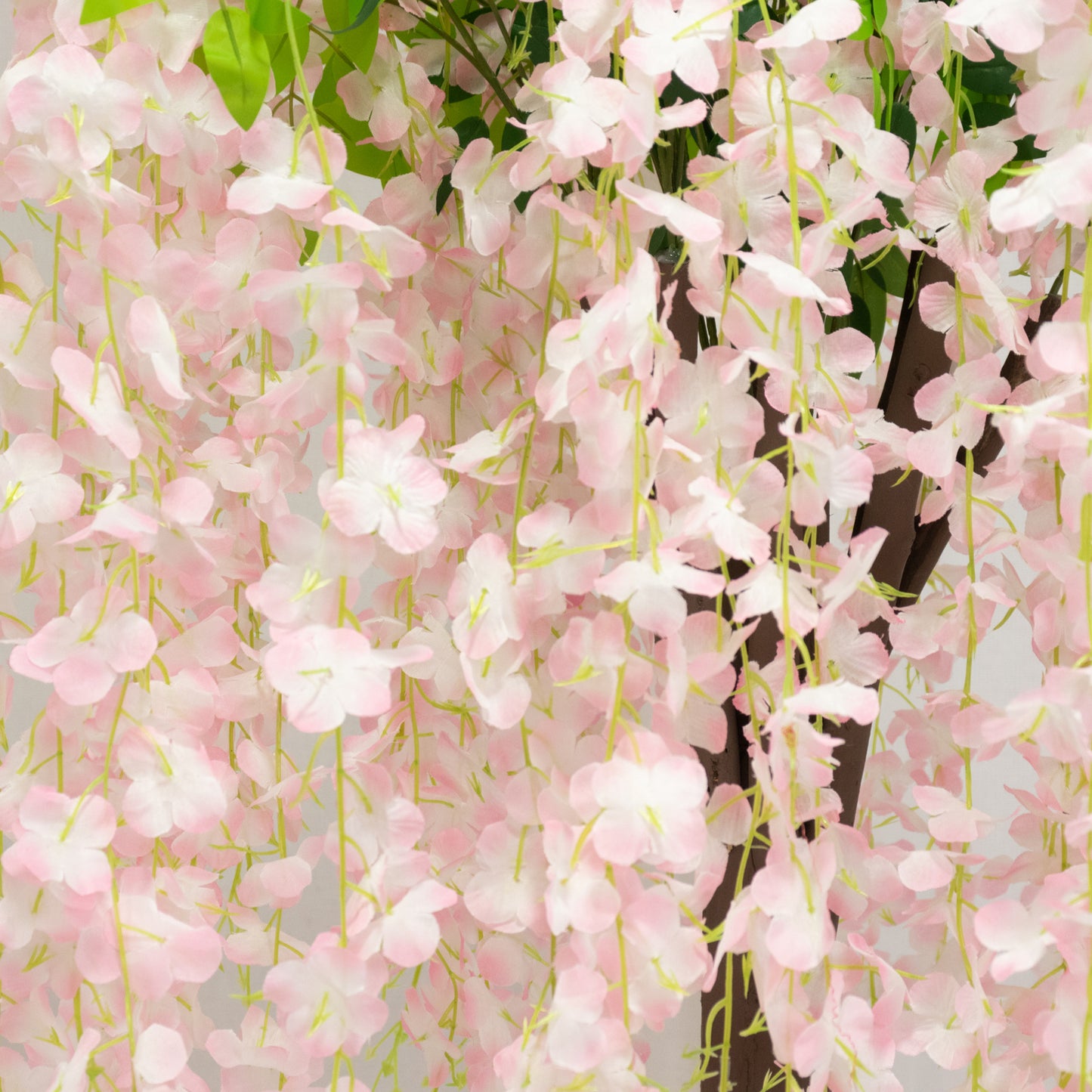 Blush artificial wisteria tree with cascading silk flowers and natural trunk.