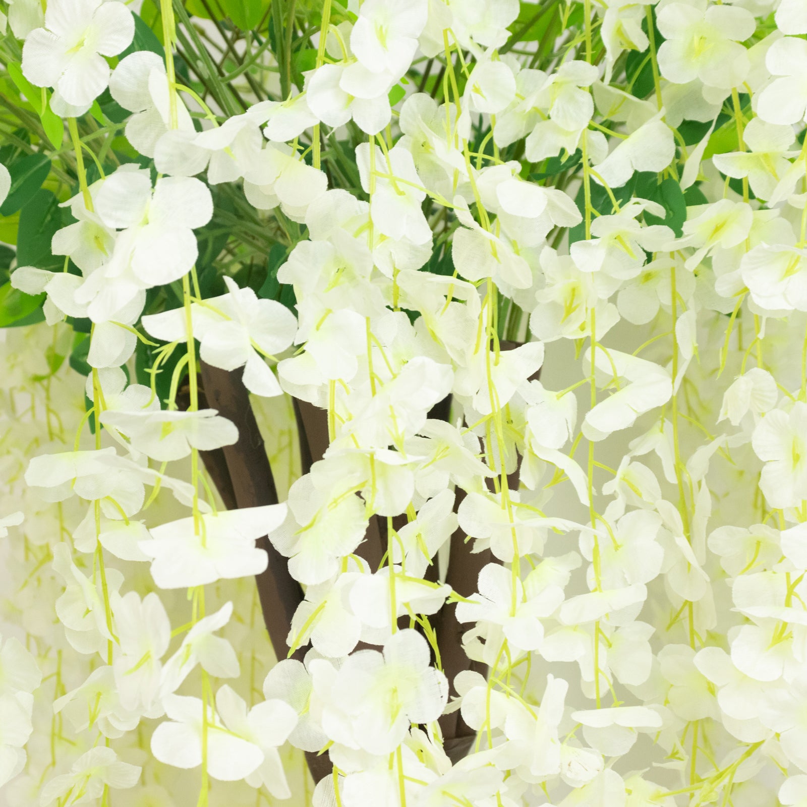 Cream artificial wisteria tree with cascading silk flowers.