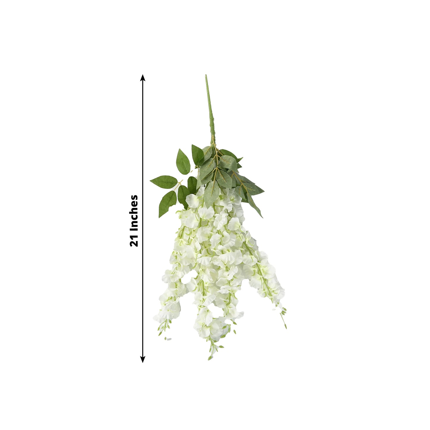 Cream silk wisteria vines hanging plants, 21 inches long, with lush green leaves.
