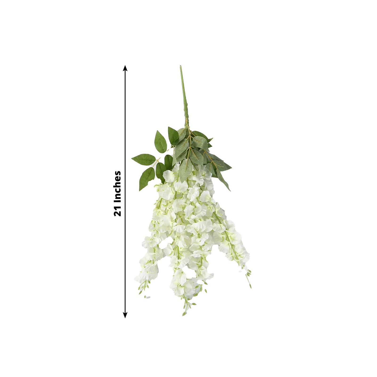 Cream silk wisteria vines hanging plants, 21 inches long, with lush green leaves.