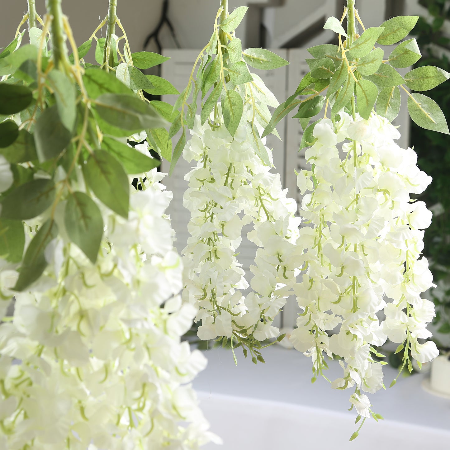 Cream silk wisteria vines hanging plants with long white flowers.