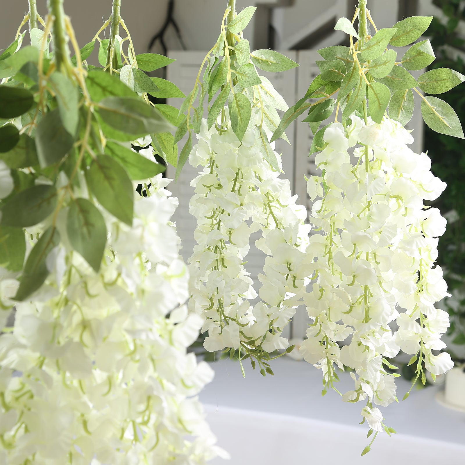 Cream silk wisteria vines hanging plants with long white flowers.