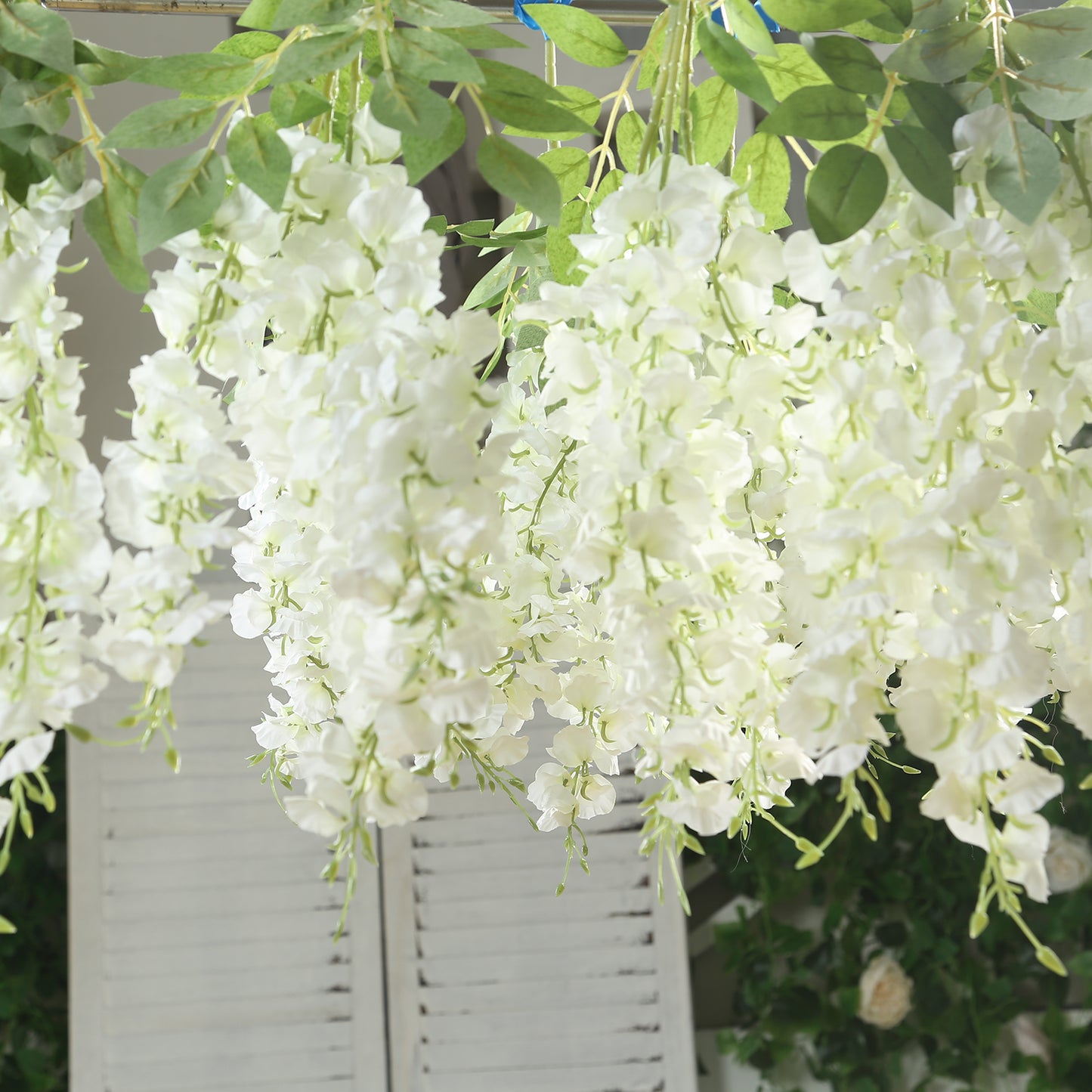 White cream silk wisteria vines hanging plants, 6 pack, 21 inches long.
