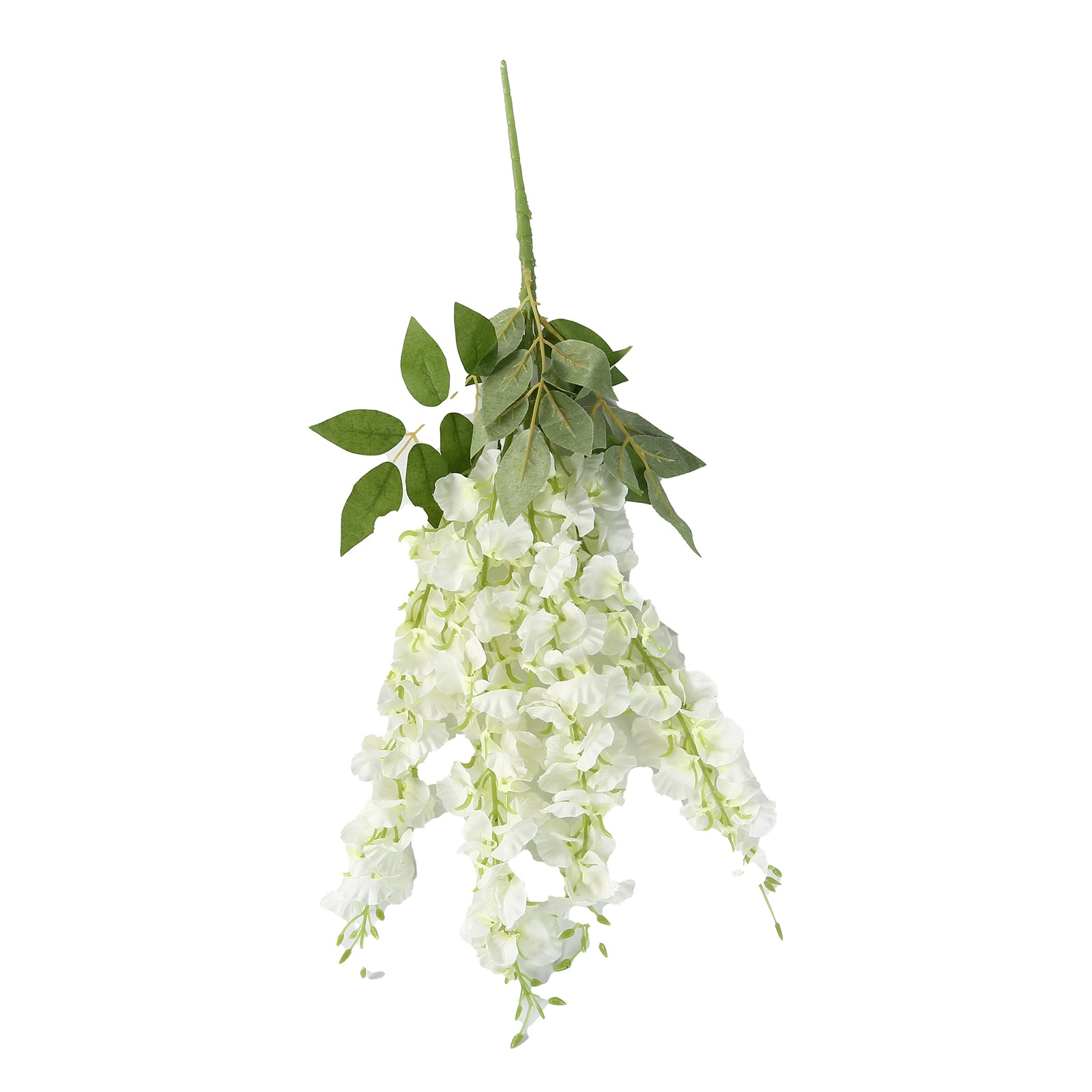 Cream silk wisteria vines hanging plants with lush white flowers and greenery.