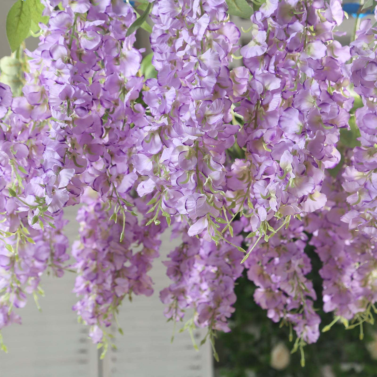 Purple silk wisteria vines hanging plants, 6 pack, 21 inches long.