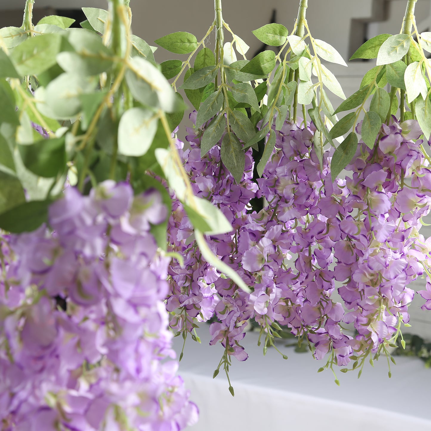 Purple silk wisteria vines hanging plants with lush green leaves.