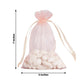 10 Pack | 5x7inch Blush/Rose Organza Drawstring Wedding Party Favor Gift Bags