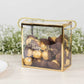 25 Pack Gold Trimmed Clear PVC Gift Boxes with Rope Handles and Thank You Print, Transparent Portable Candy Favor Boxes - 5.5"x5.5"