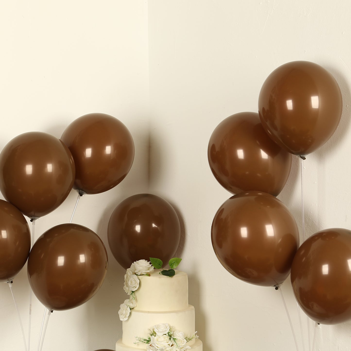 50 Pack Matte Pastel Cinnamon Brown Biodegradable Balloons 12", Round Eco-friendly Thick Latex Party Balloons