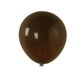 10 Pack Matte Pastel Cinnamon Brown Biodegradable Balloons 18", Round Eco-friendly Thick Latex Party Balloons