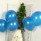 10 Pack Royal Blue Biodegradable Balloons, Eco-friendly Thickened Extra Strong Latex Helium Party Balloons - 18"