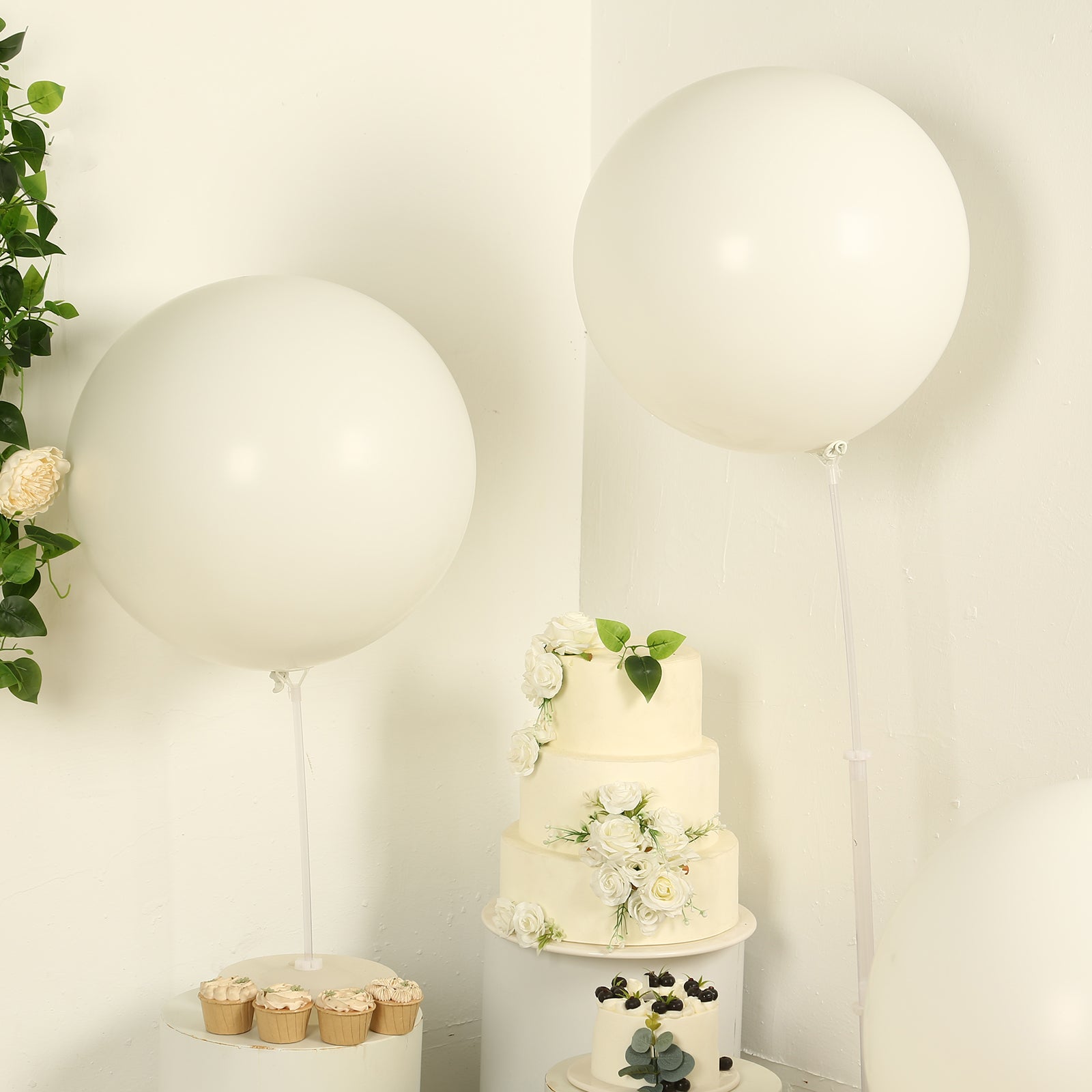 Large off white biodegradable balloons for eco-friendly parties.