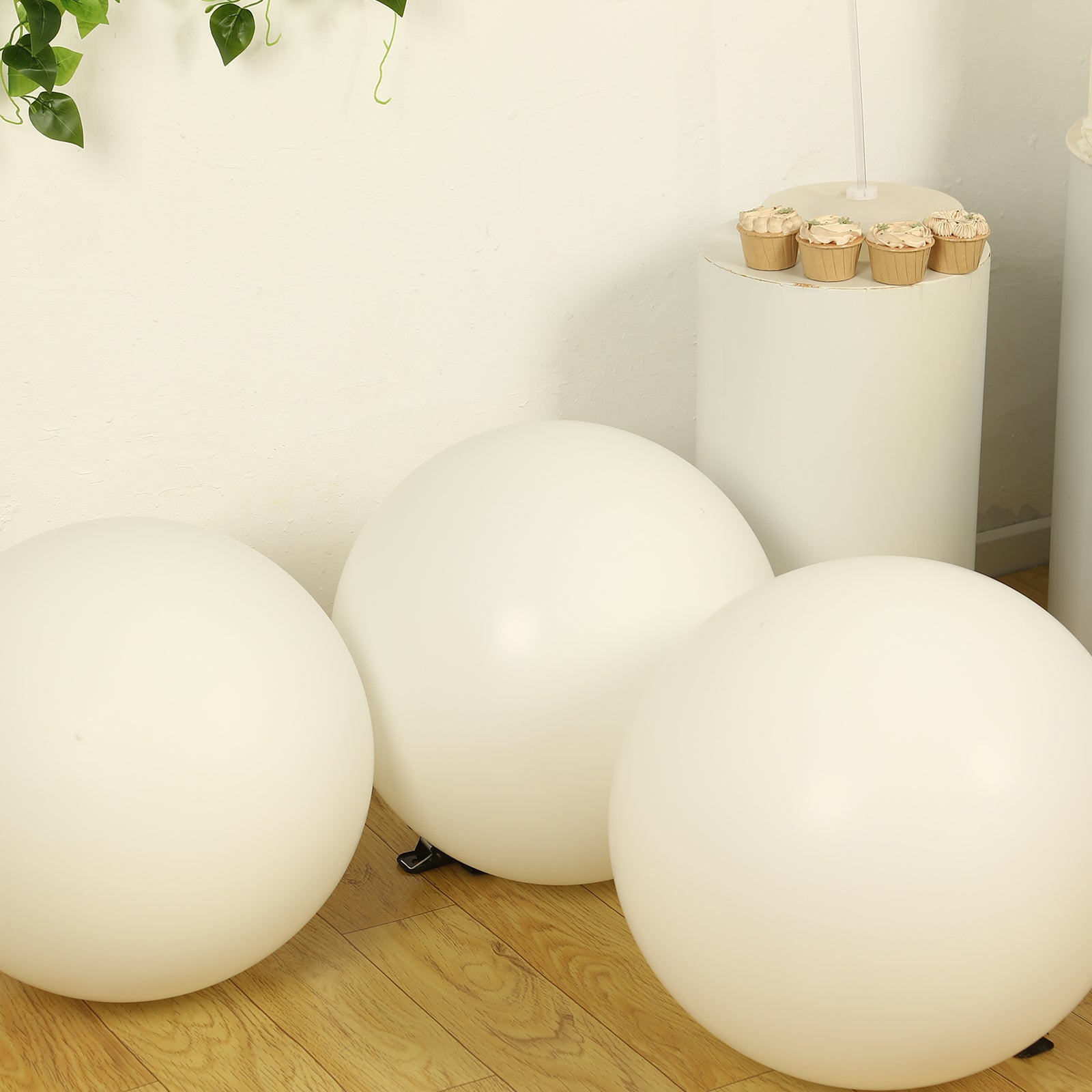 Large off white biodegradable balloons for eco-friendly parties.