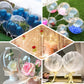 Clear transparent PVC helium/air bubble balloons, 16 inches, pack of 10.