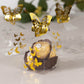 25 Pack Clear Transparent Square Party Favor Boxes with Gold Butterfly Top, Clear Candy Treat Gift Boxes - 2"x2"x4"
