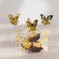 25 Pack Clear Transparent Square Party Favor Boxes with Gold Butterfly Top, Clear Candy Treat Gift Boxes - 2"x2"x4"