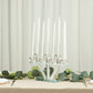 Crystal glass candelabra with 7 branches and white taper candles.