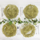 6-Pack Acrylic Plastic Round Charger Plates 13" in Transparent Dusty Sage Green with Reef Design, Dinner Charger Tableware