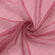 Mauve cinnamon rose
