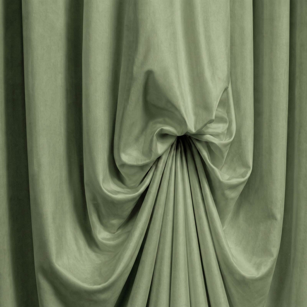 #whtbkgd