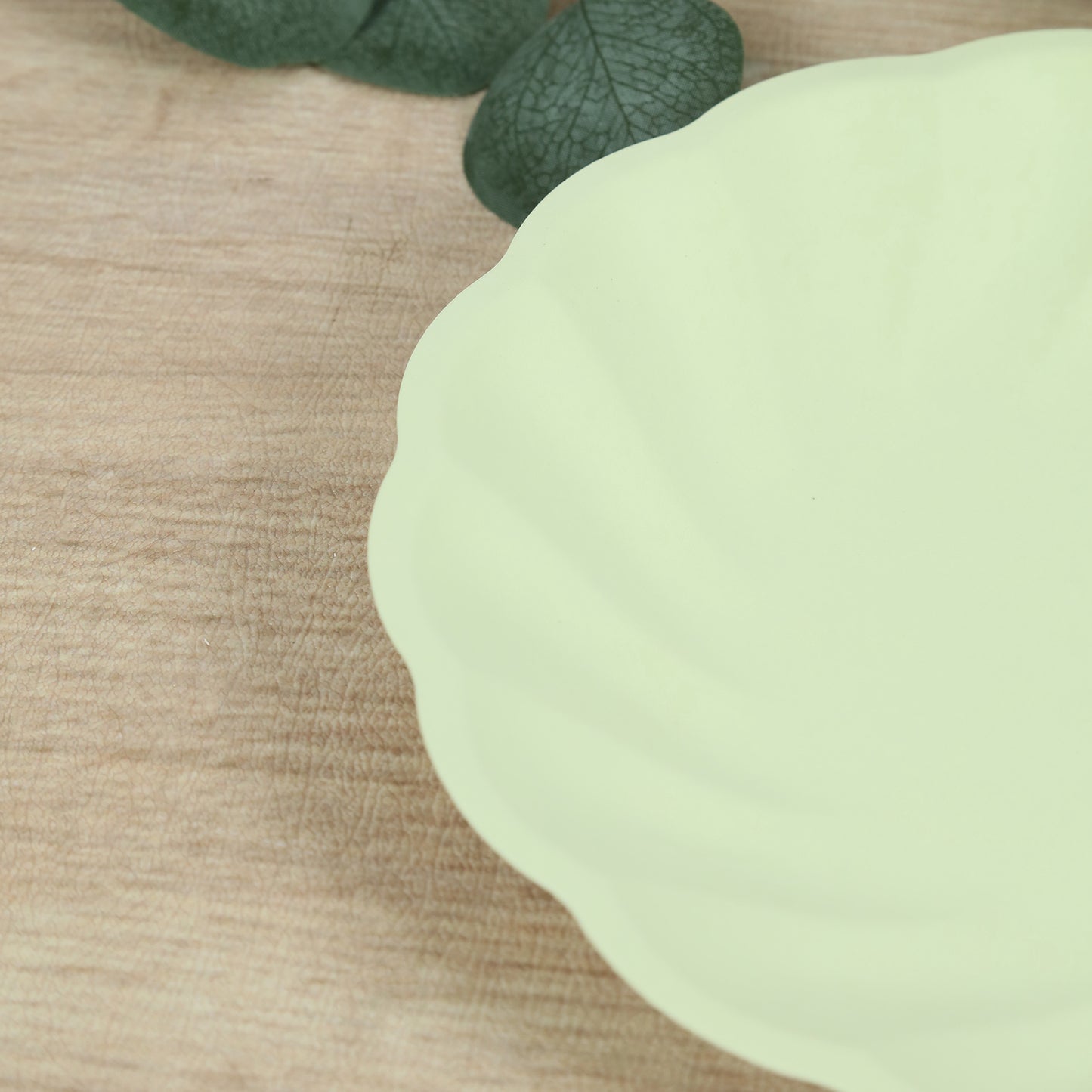 Sage green biodegradable dinner plate on a wooden surface.