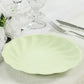 Sage green biodegradable dinner plate with a swirl scalloped design.