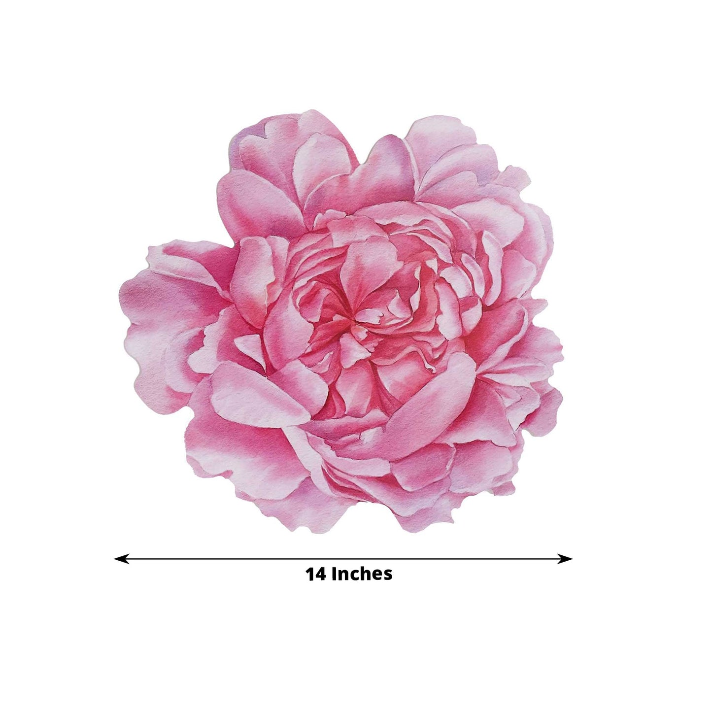 10 Pack Pink Peony Flower Disposable Table Mats, 14" Cardboard Paper Floral Placemats - 400GSM