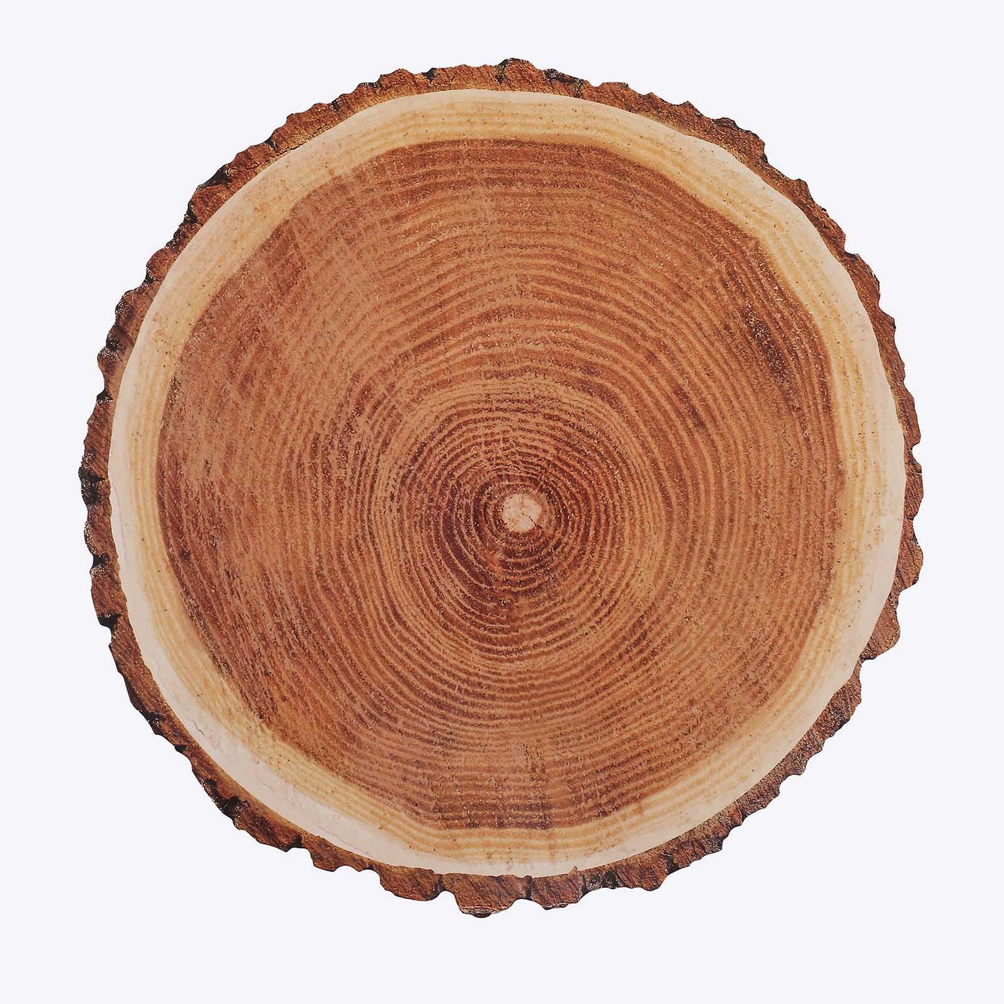 6 Pack Farmhouse Natural Wood Slice Print Disposable Dining Table Mats, 13" Round Cardstock Paper Placemats - 700 GSM