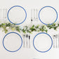 10 Pack Clear Regal Disposable Party Plates With Blue Rim, 10" Round Plastic Dinner Plates