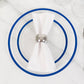 10 Pack Clear Regal Disposable Party Plates With Blue Rim, 10" Round Plastic Dinner Plates