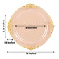 10 Pack 10" Transparent Blush Plastic Party Plates With Gold Leaf Embossed Baroque Rim, Round Disposable Dinner Plates