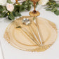10 Pack Transparent Amber Gold Plastic Party Plates With Gold Leaf Embossed Baroque Rim, 10" Round Disposable Dinner Plates