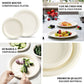 White biodegradable bagasse dessert plates for eco-friendly dining.