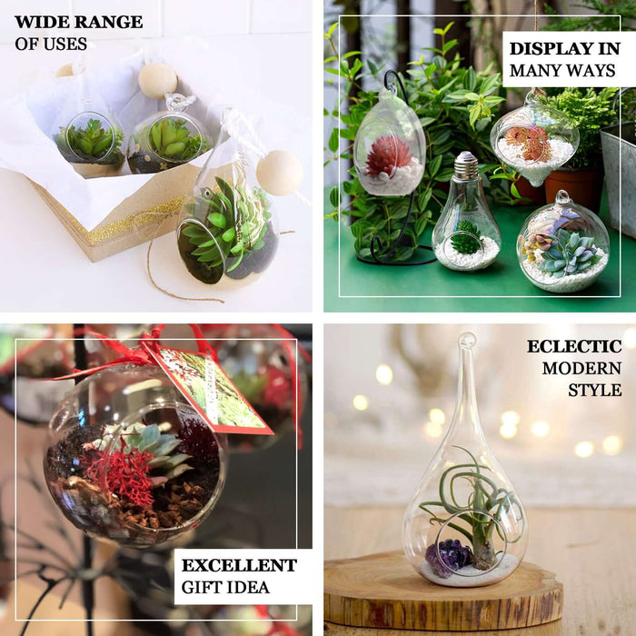 air plant terrarium gift 12-pk 9in Glass Bell Air Plant Terrarium