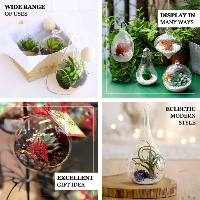 4 Pack | 4" Air Plant Hanging Glass Globe Terrarium, Free-Falling Elegant Planter