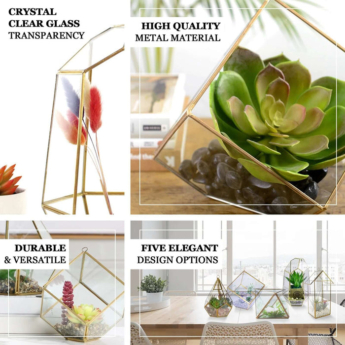 Gold geometric glass terrarium for air plants and decor.