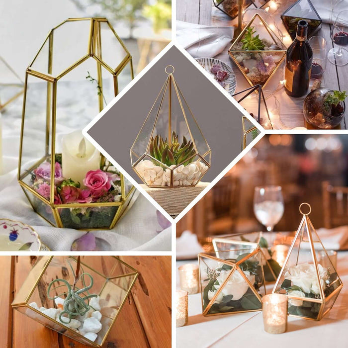 Gold geometric glass terrarium for air plants and decor.