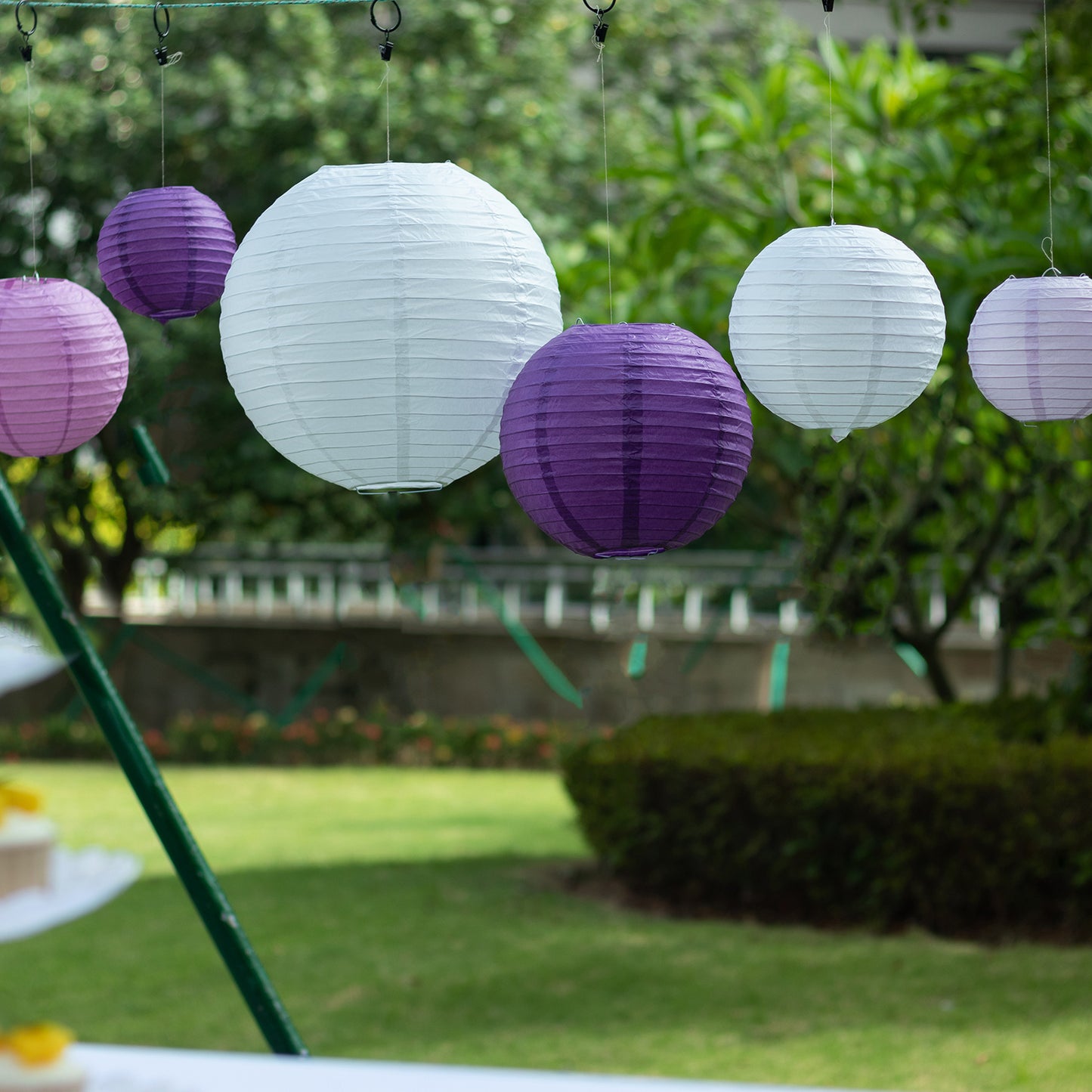 Mixed purple and white decorative hanging paper lanterns in varying sizes.