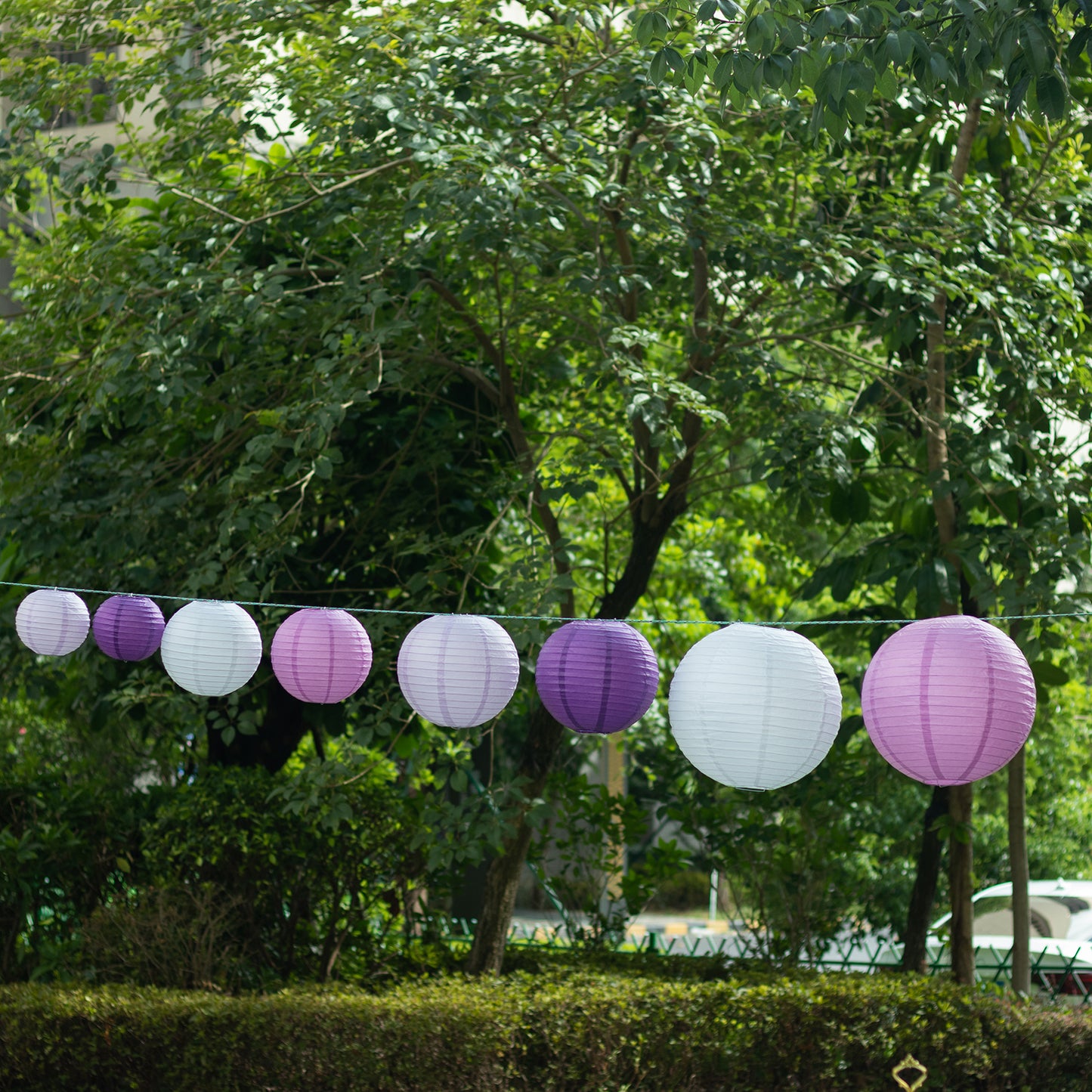 Set of 8 mixed purple and white hanging paper lanterns in assorted sizes.