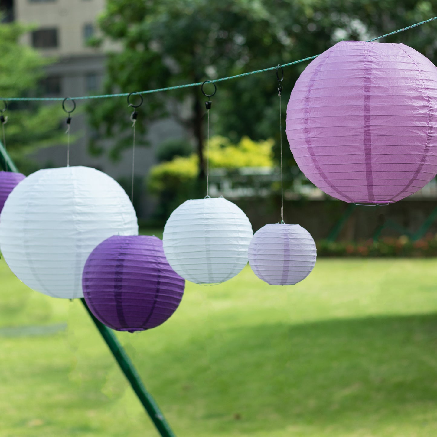 Set of 8 purple and white hanging paper lanterns in assorted sizes.