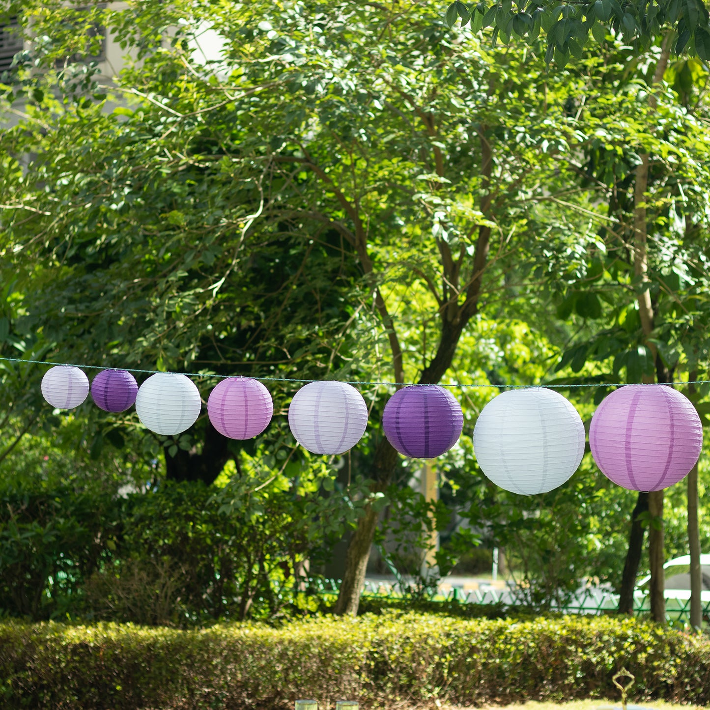 Set of 8 mixed purple and white hanging paper lanterns in various sizes.