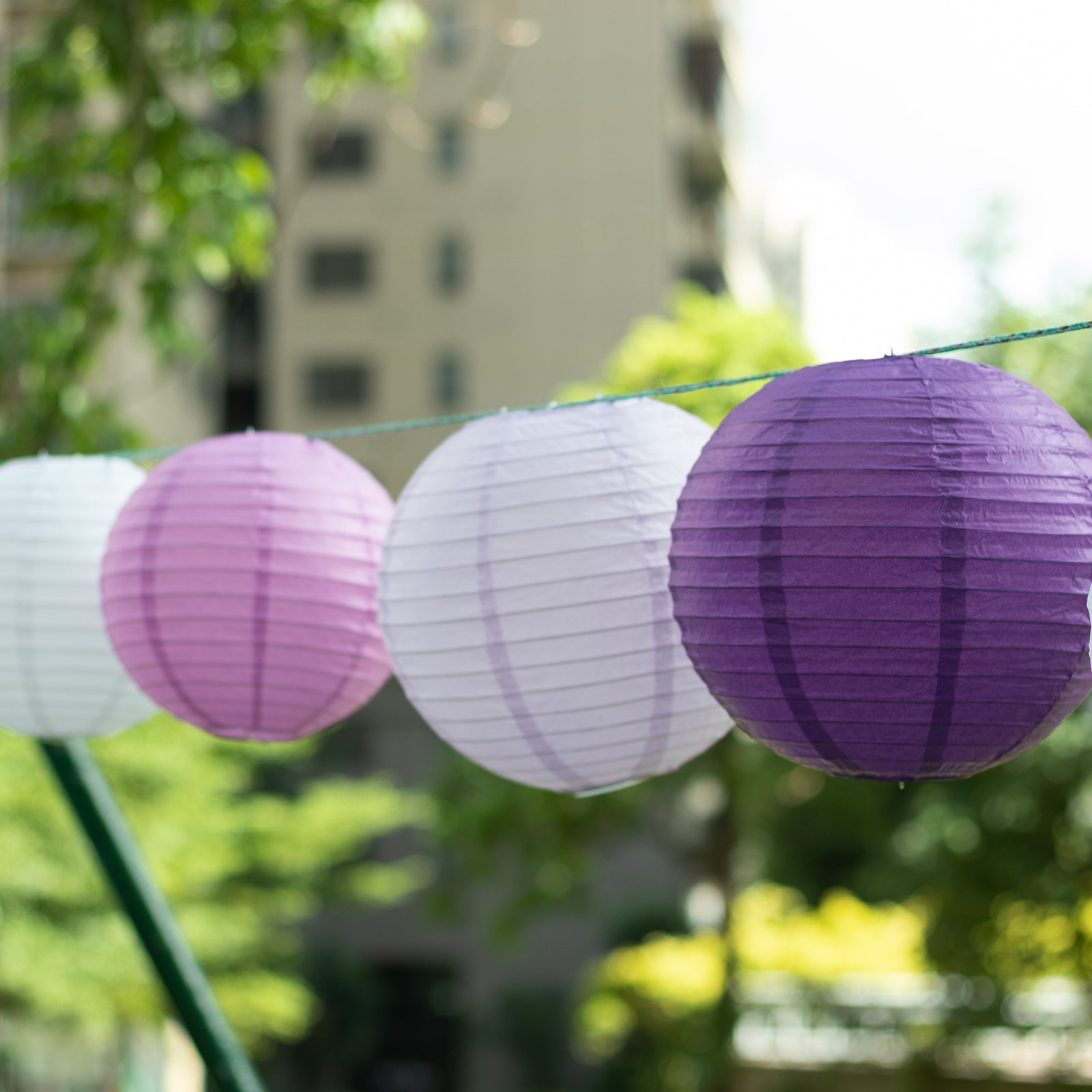 Set of 8 purple and white hanging paper lanterns in assorted sizes.