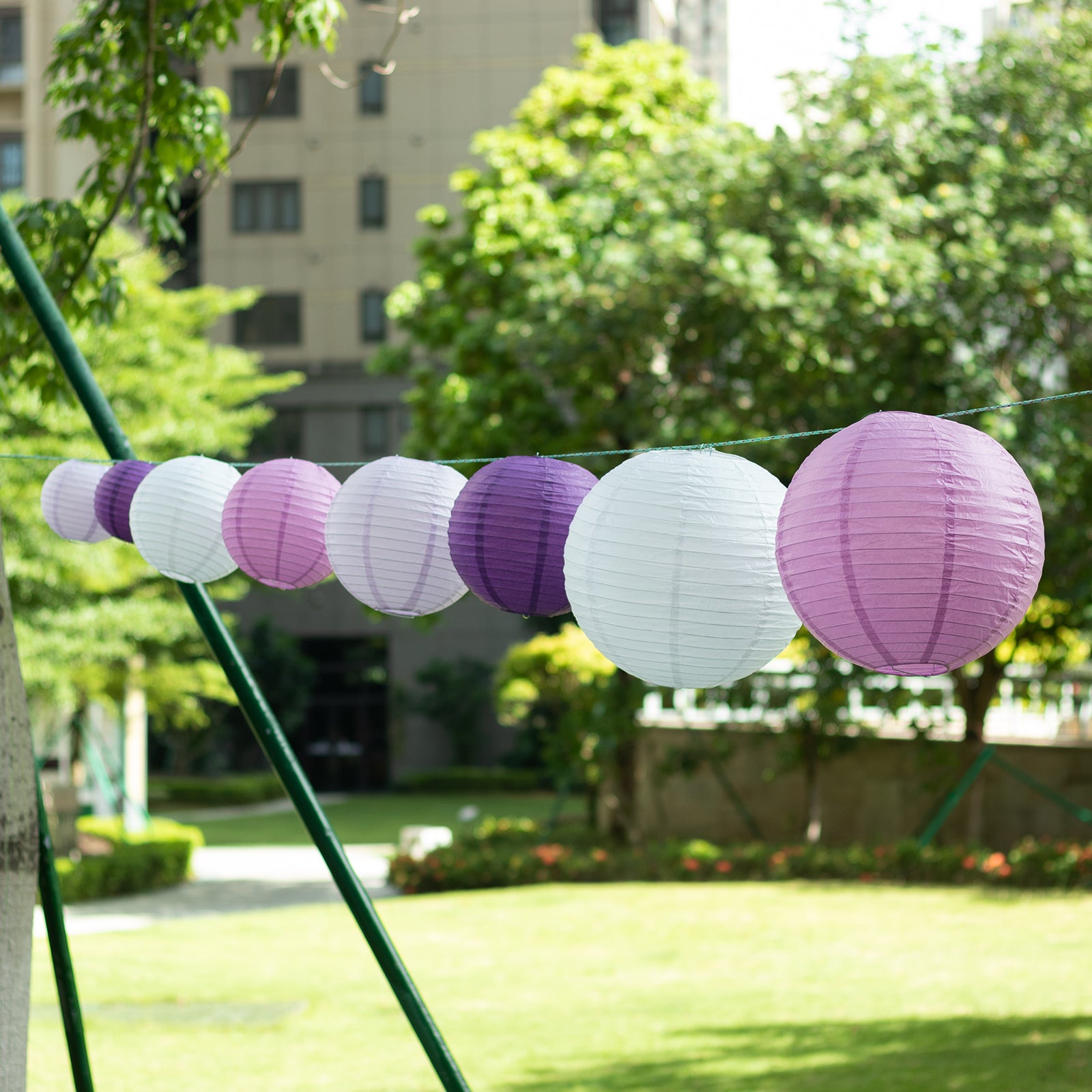Mixed purple and white hanging paper lanterns in various sizes.