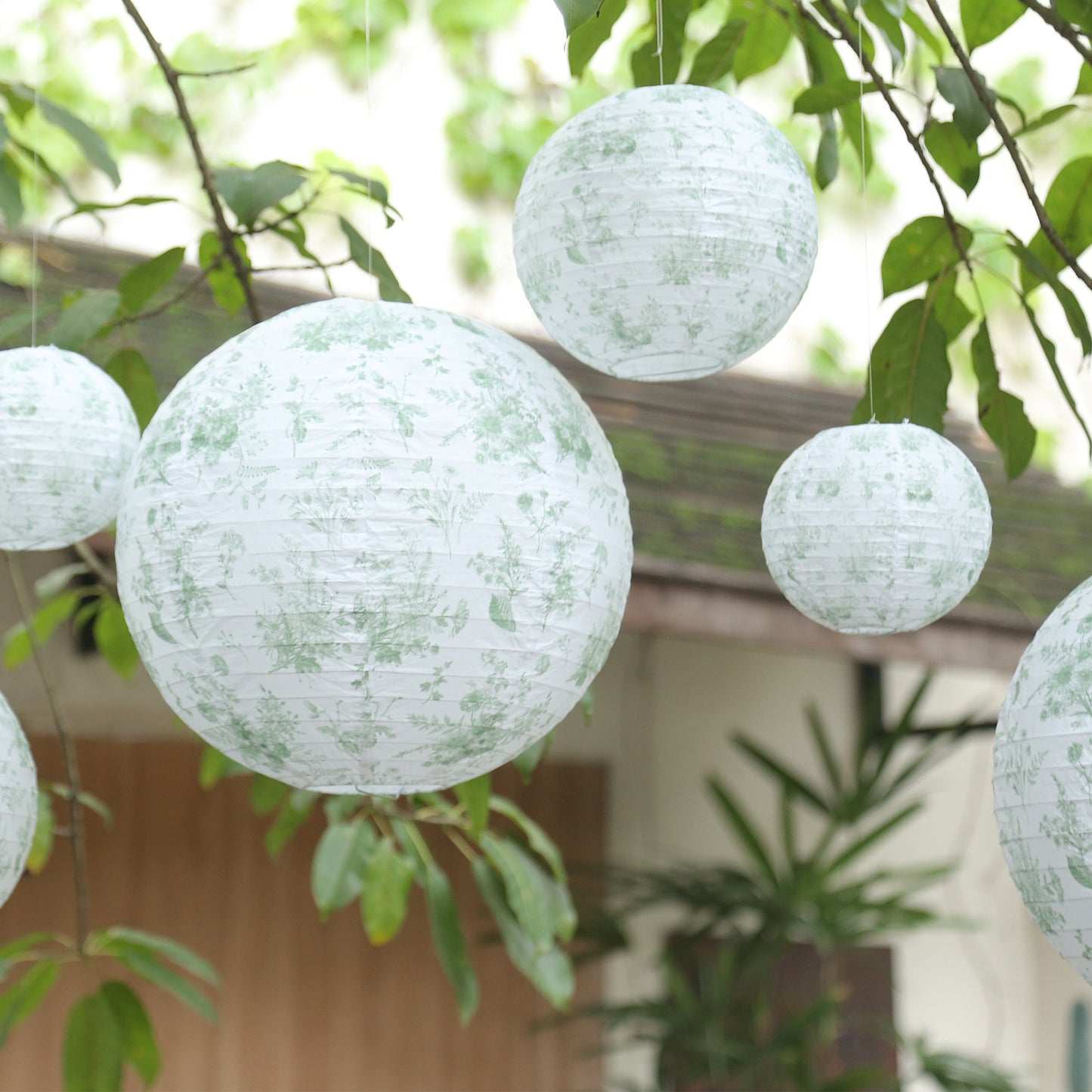 Set of 8 White Sage Green Hanging Chinese Lanterns in French Toile Floral Pattern, Festival Paper Lanterns - 6",8",10",14"