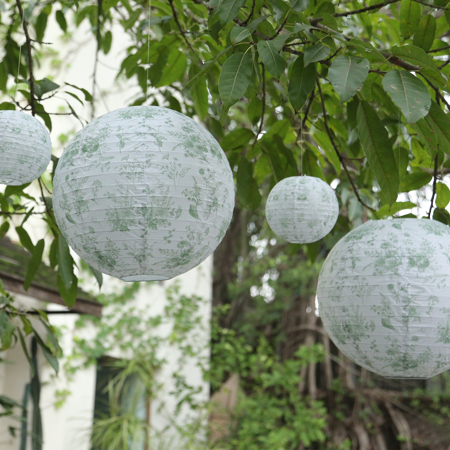 Set of 8 White Sage Green Hanging Chinese Lanterns in French Toile Floral Pattern, Festival Paper Lanterns - 6",8",10",14"