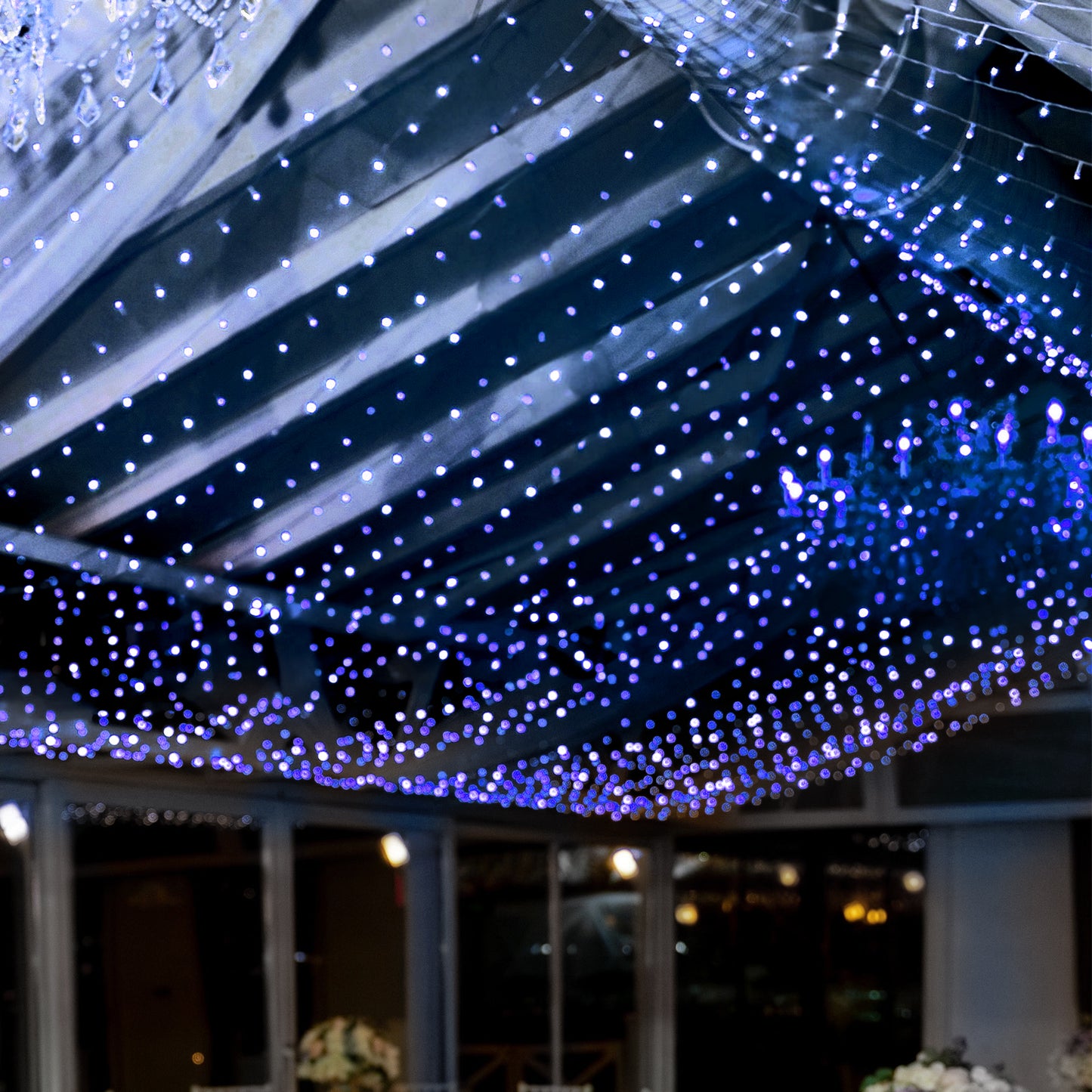 Blue 600 LED twinkle fairy lights in a curtain string display.