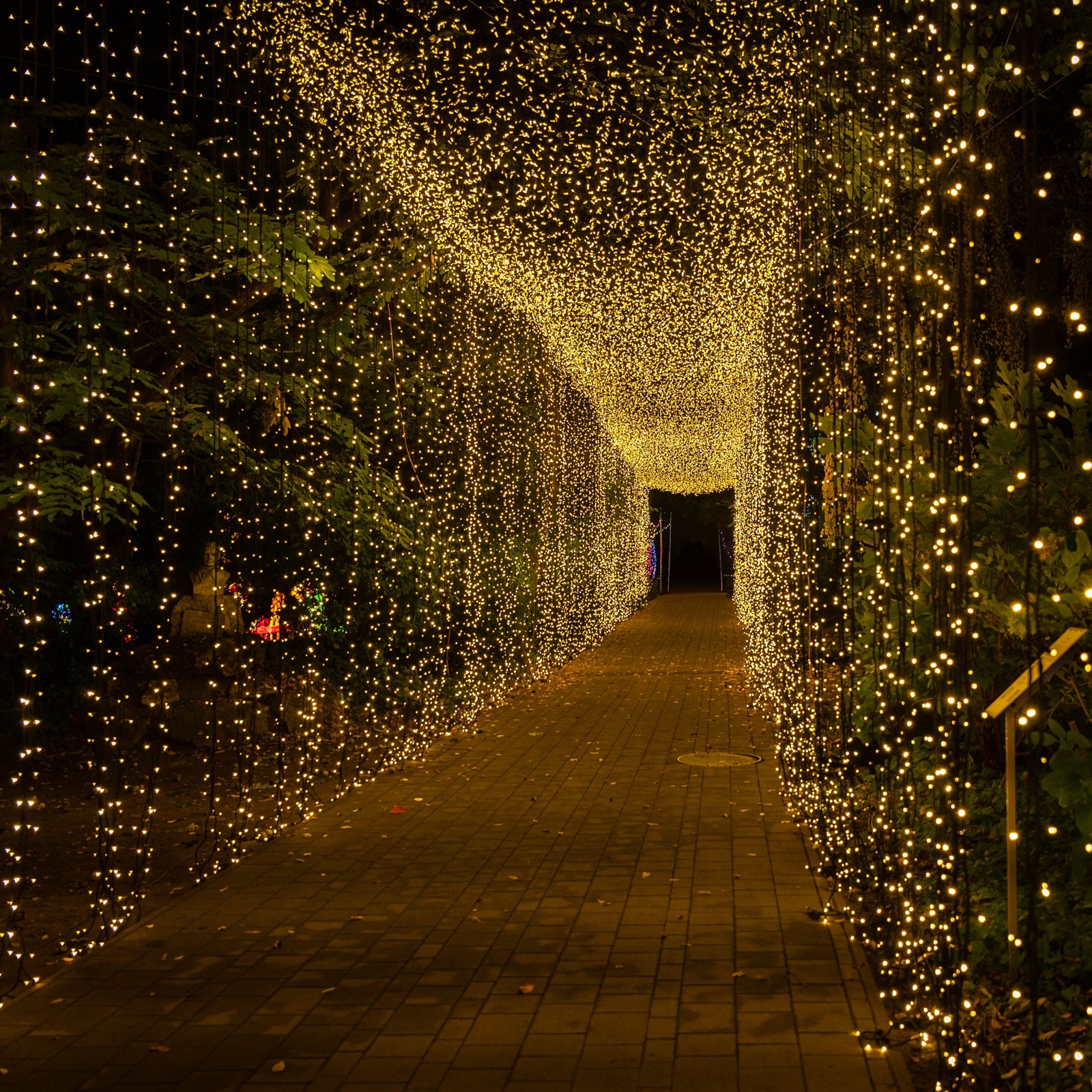 TCFLinen Curtain String Lights - Thumbnail 2