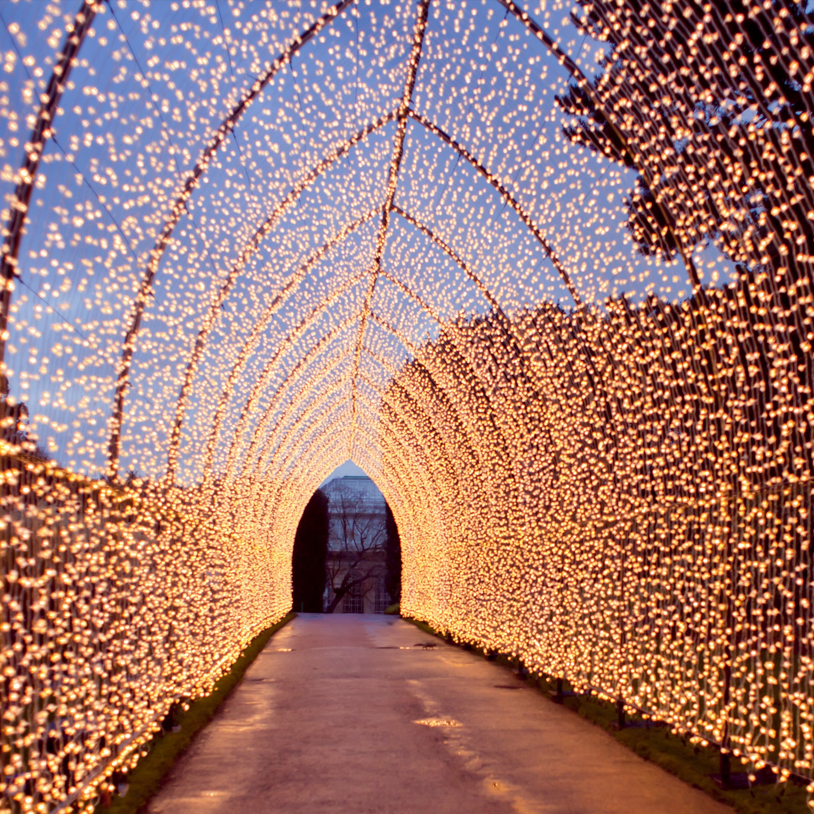 Warm white 900 LED curtain string lights in a glowing tunnel backdrop.