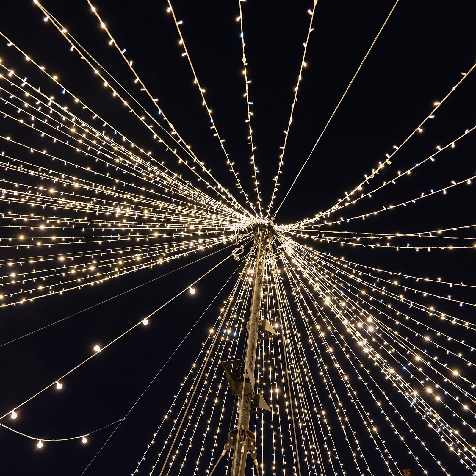 Warm white LED curtain fairy lights creating a sparkling canopy effect.